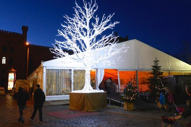 Eisbahn am Pfaffenteich