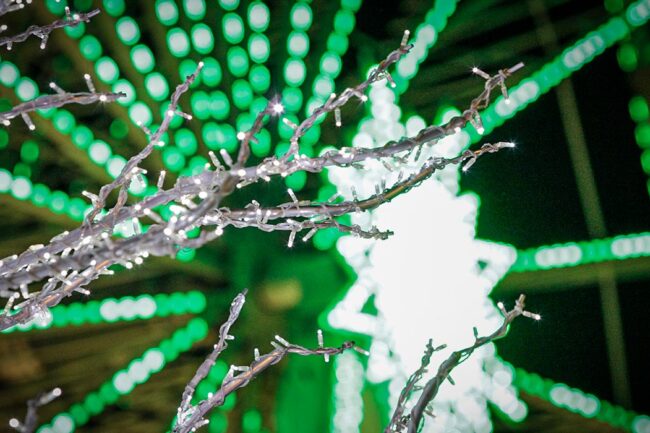 Südufer Pfaffenteich